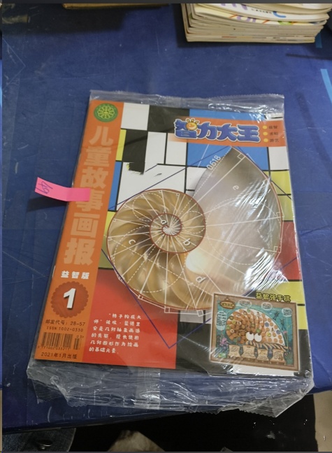 智力大王